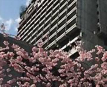 Hotel Lindner Seestern, Part Of Jdv By Hyatt 4*