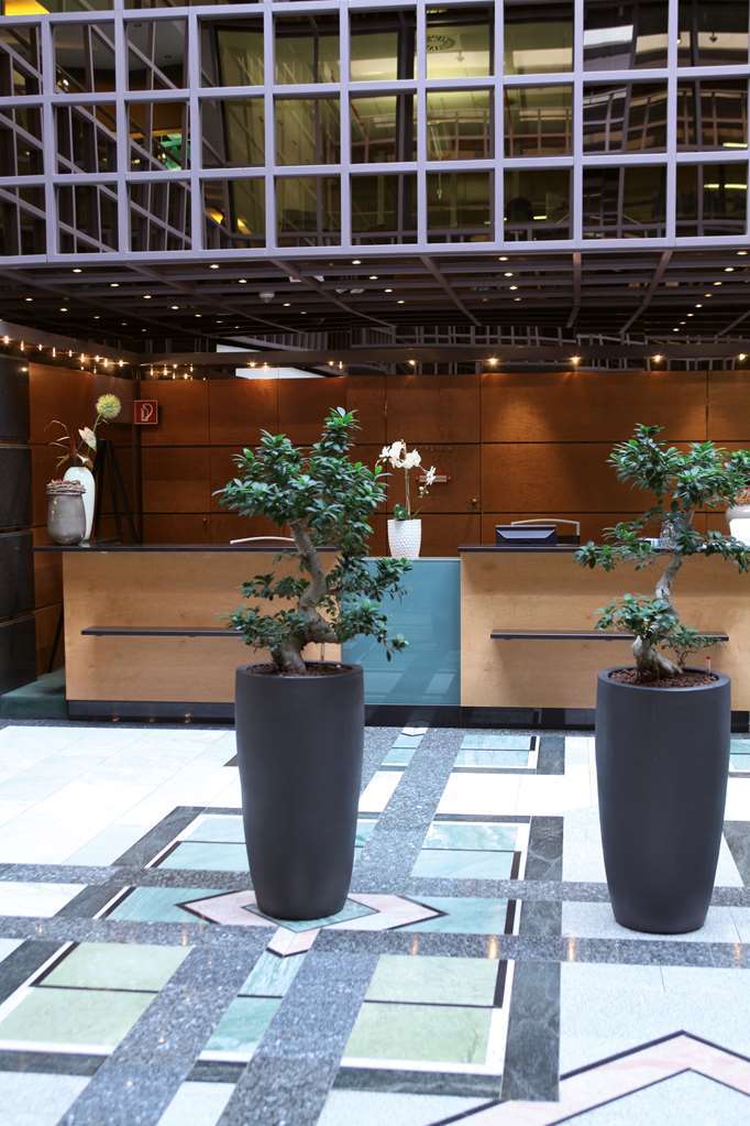 Lindner Seestern, Part Of Jdv By Hyatt Hotel 4*